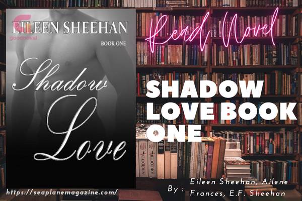 Shadow Love Book One Novel