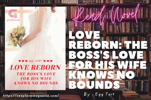 Love Reborn: The Boss's Love for His Wife Knows No Bounds Novel