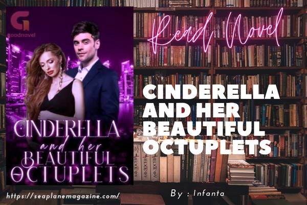 Cinderella And Her Beautiful Octuplets Novel