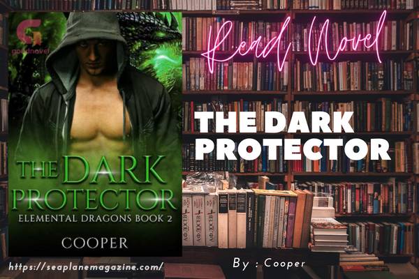 The Dark Protector Novel