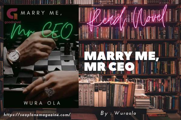 Marry Me, Mr CEO Novel