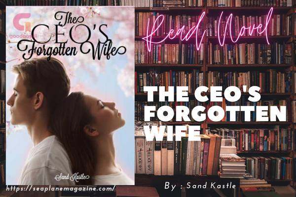 Read The CEO’s Forgotten Wife Novel Full Episode