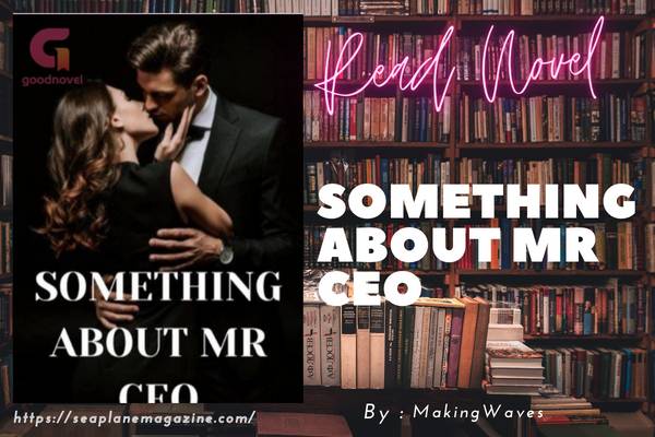 SOMETHING ABOUT MR CEO Novel