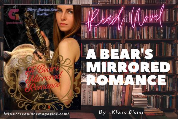 A Bear's Mirrored Romance Novel