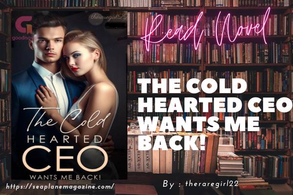 The Cold Hearted CEO Wants Me Back! Novel