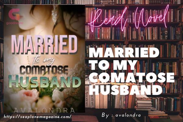 Married to My Comatose Husband Novel