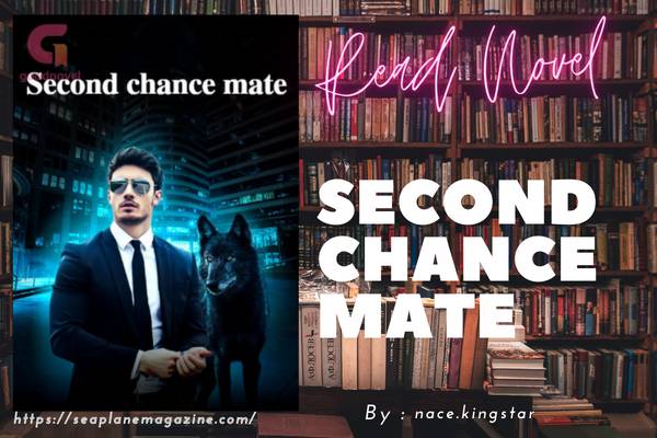 Second chance mate Novel