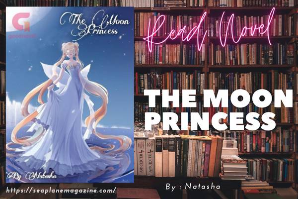 The Moon Princess Novel