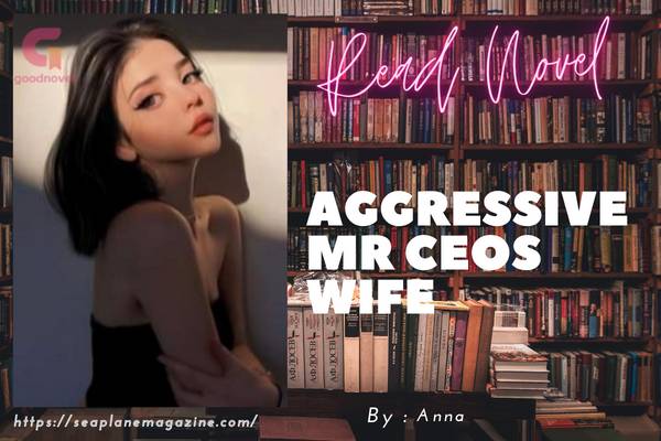 Aggressive Mr CEOs wife Novel