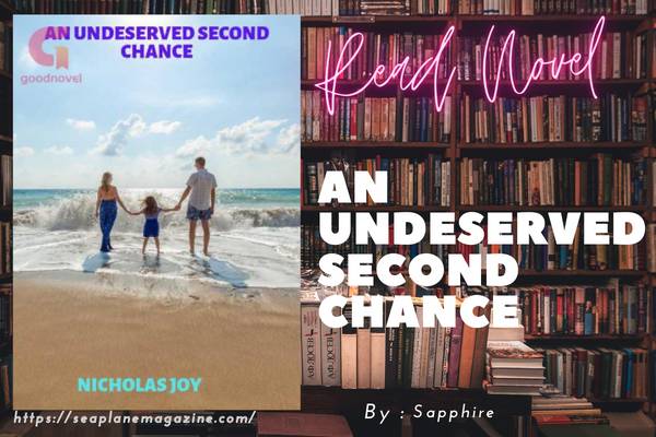 An undeserved second chance Novel