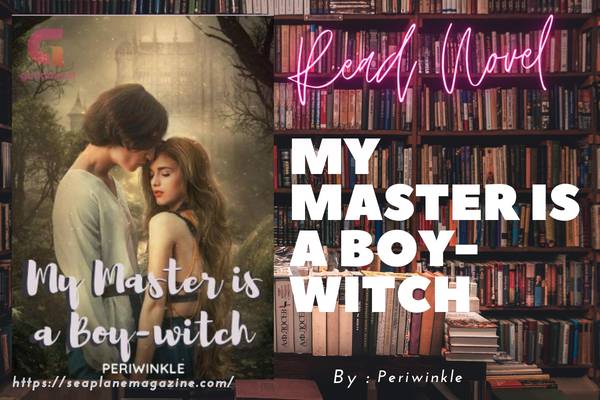 My Master is a Boy-witch Novel