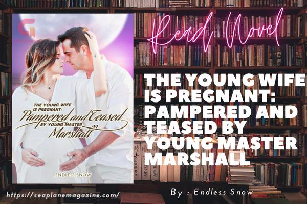 The Young Wife is Pregnant: Pampered and Teased by Young Master Marshall Novel