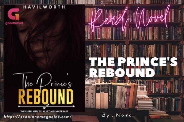The Prince's Rebound Novel