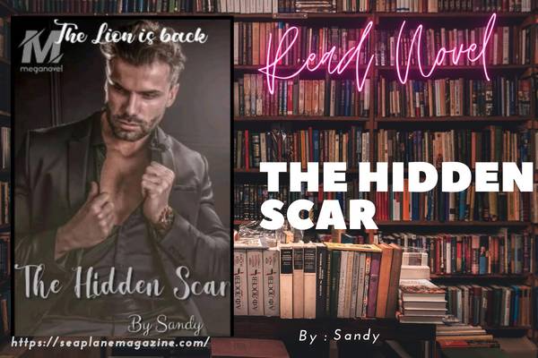 The hidden Scar Novel