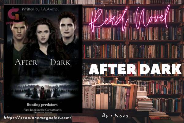 After Dark Novel